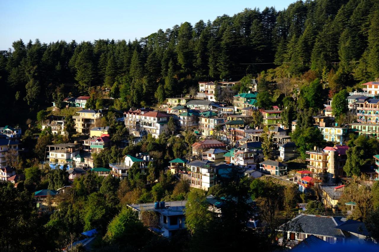 Хостел Mitra Mcleodganj Маклеод-Гандж Екстер'єр фото