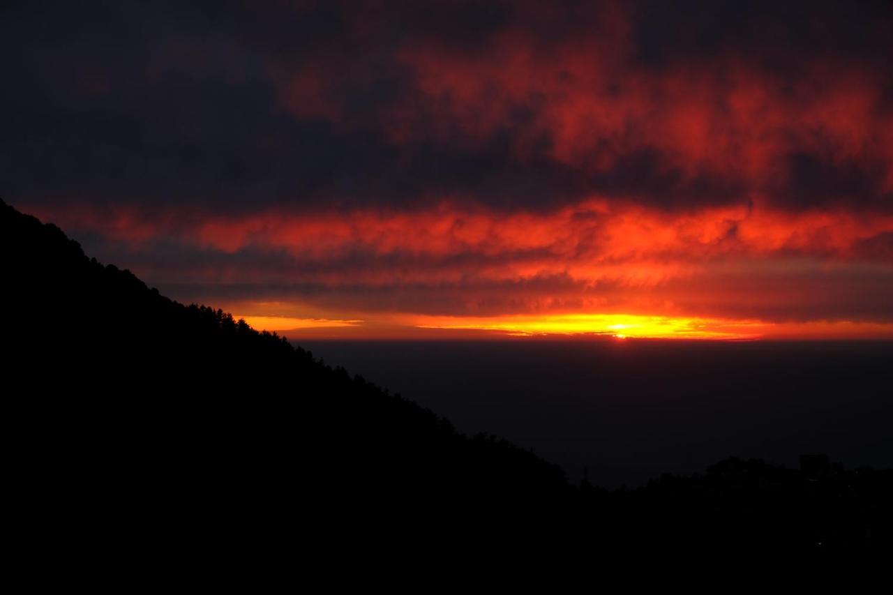 Хостел Mitra Mcleodganj Маклеод-Гандж Екстер'єр фото