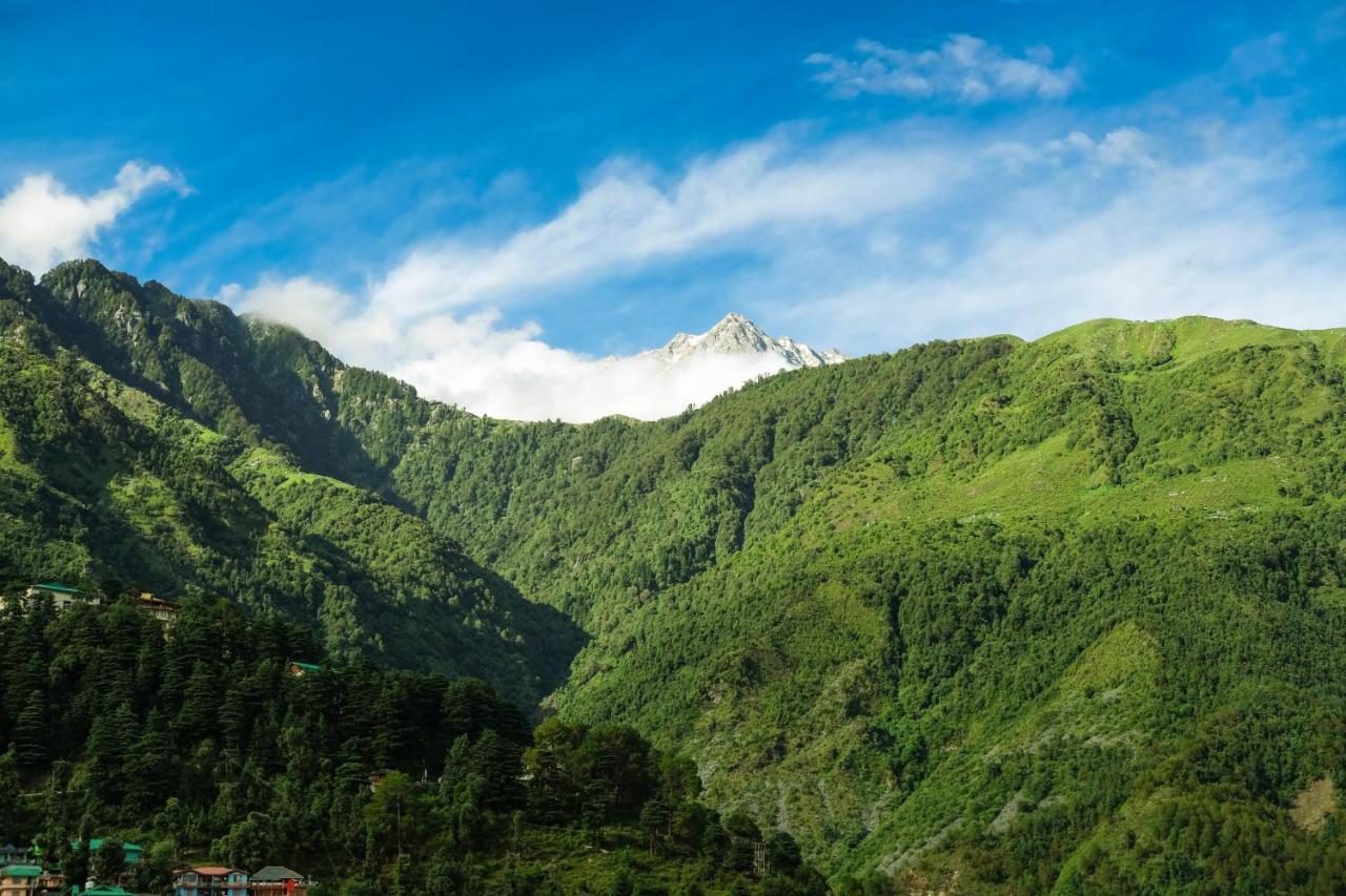 Хостел Mitra Mcleodganj Маклеод-Гандж Екстер'єр фото